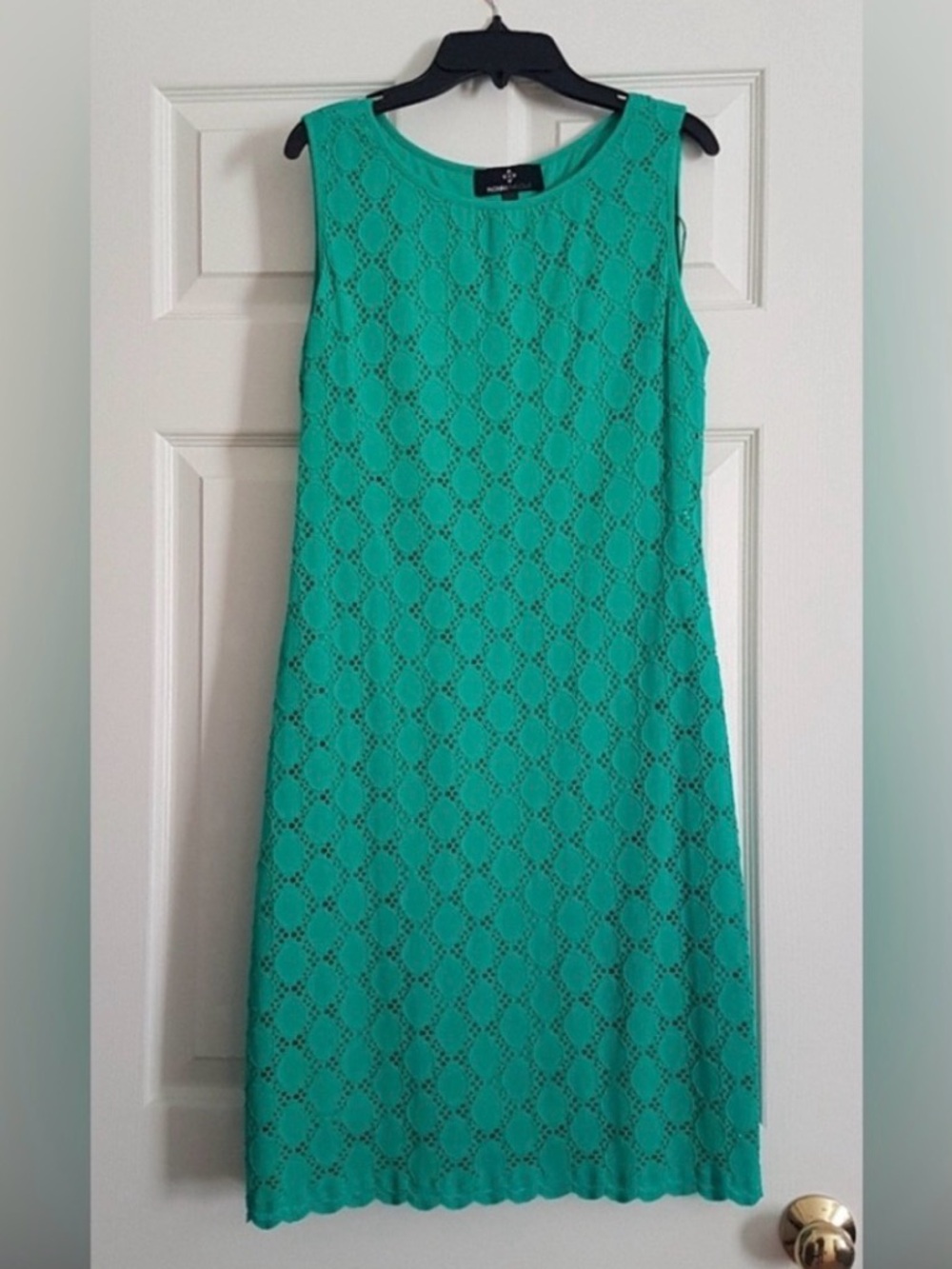 Mint Green Sleeveless Eyelet Ronni Nicole Sheath Knee Length Dress Like NEW